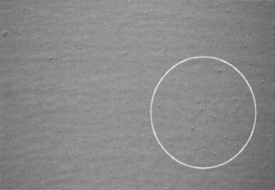 長沙標榜涂料,冷鍍鋅,環氧富鋅底漆,氟碳漆,環氧煤瀝青漆